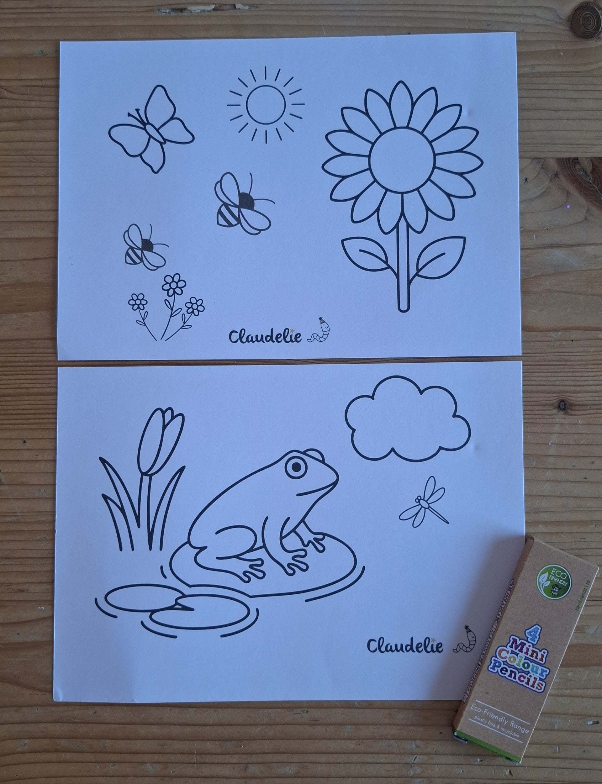 Summer Explorer Activity Box