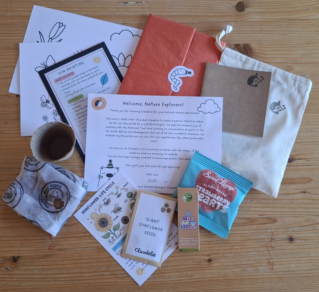 Summer Explorer Activity Box