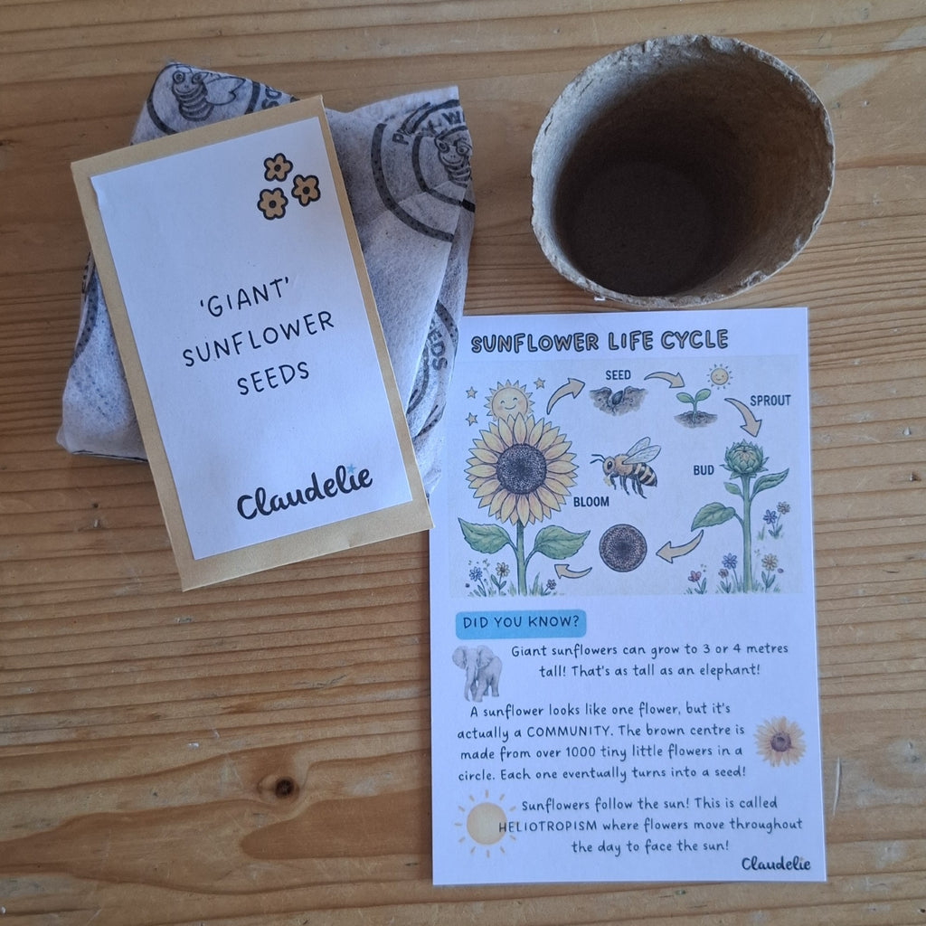 Summer Explorer Activity Box